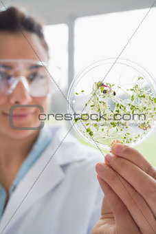 Student holding up petri dish