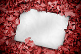 White poster buried into red leaves