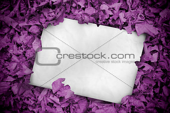 White poster buried into purple leaves