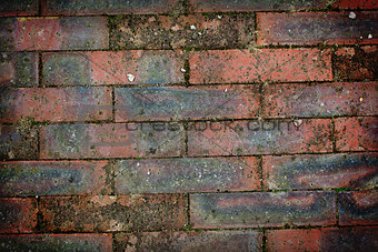 Texture of bricks wall