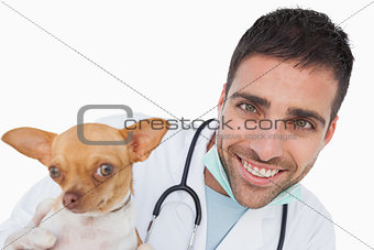Cheerful male vet holding a funny chihuahua