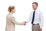 Mature businessman shaking hands with his coworker