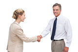 Cheerful mature businessman shaking hands with his coworker