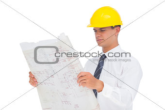 Focused architect reading a plan