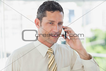 Smiling businessman on the phone