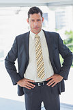 Businessman with hands on hips