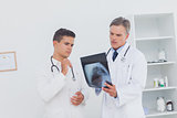 Two doctors analysing a radiography