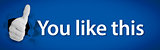 Social network logo presenting thumb up