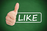 Thumb up representing social network logo next to like written in tag