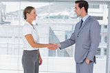 Businesswoman and man shaking hands
