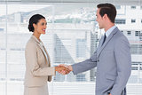 Attractive businesswoman shaking hands to handsome businessman