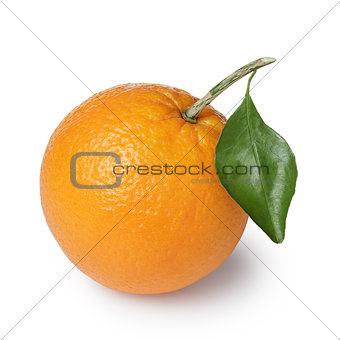 ripe round oranges with half, stem and leaf