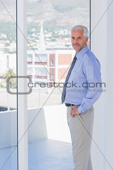 Businessman standing by the window and smiling