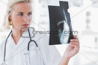 Serious nurse examining a radiography