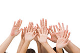 People raising hands in the air