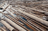Log Jam of Tree Trunks Floting on a River