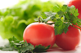 Red tomatoes and parsley on a background of green lettuce