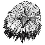 Bald eagle head as USA symbol for mascot or emblem design, such a logo.