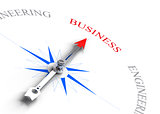 Choosing a business career, Professional guidance