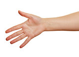 woman's  open palm on a white background