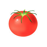 tasty tomato