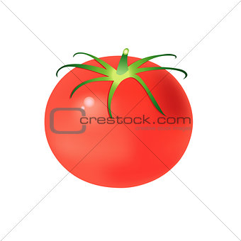 tasty tomato