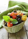 ripe berries cherries in a wicker basket