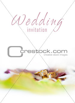 Golden rings on a wedding invitation