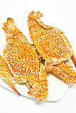crab for seafood