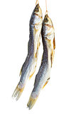 Salted mullet fishes