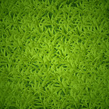 grass-texture