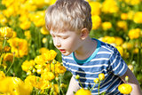 boy at flower field