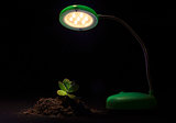 Young sprout and table lamp on a black background