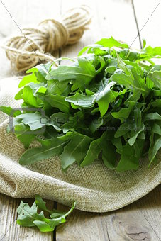 bunch of fresh green arugula on the wooden table