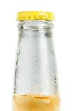 Beer bottle isolated