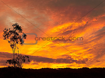 Fiery Australian sunset silhouette