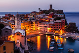 Aerial View on the Village of Vernazza at the Morning, Cinque Te