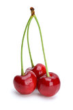 Three ripe red cherries