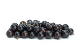 Small pile of blackcurrant berries