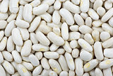 Long white haricot beans