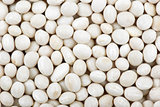 Round white haricot beans