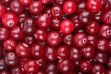 Red cranberries