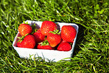 strawberries in a box