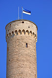 Toompea tower