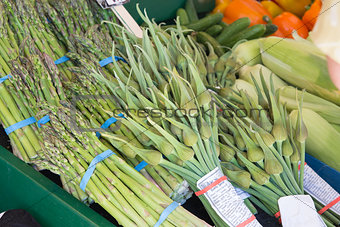 Garlic Spears and Asparagus Bundles