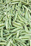 Pile of Sugar Peas Background