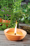 lemongrass candles for mosquito's prick