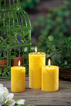 lemongrass candles for mosquito's prick