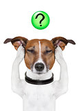 dog question mark