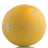 Yellow melon 